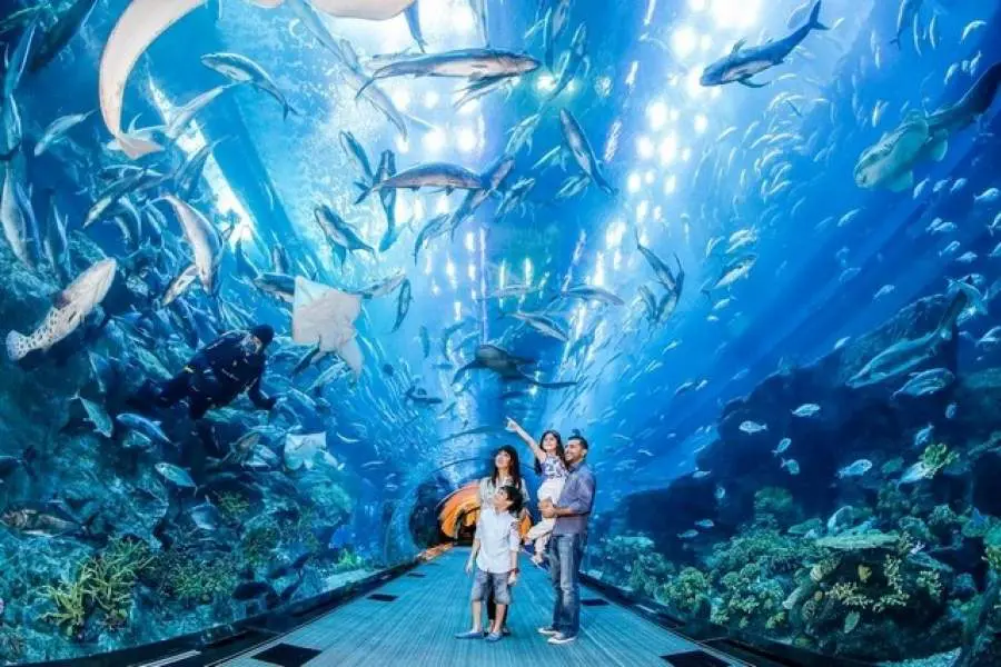 The Dubai Aquarium & Underwater Zoo
